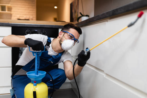 Best Affordable Pest Control Services  in Barton Creek, TX