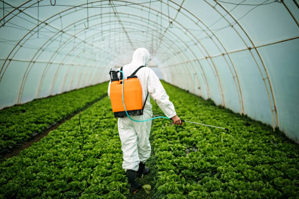 Best Commercial Pest Control Services  in Barton Creek, TX