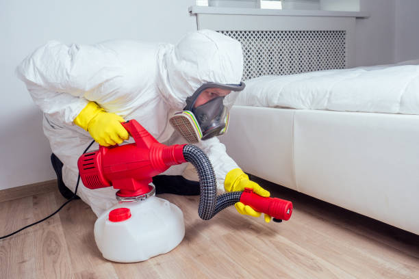Best Insect Control  in Barton Creek, TX