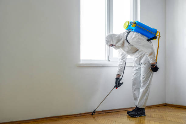 Best Exterminator Services  in Barton Creek, TX