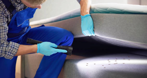Best Bed Bug Extermination  in Barton Creek, TX