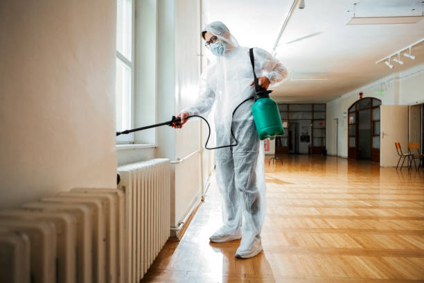 Professional Pest Control in Barton Creek, TX