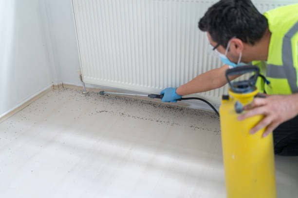 Best Best Pest Control Companies  in Barton Creek, TX